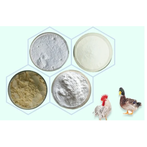 Veterinary Fenbendazole Powder For Worm CAS 43210-67-9