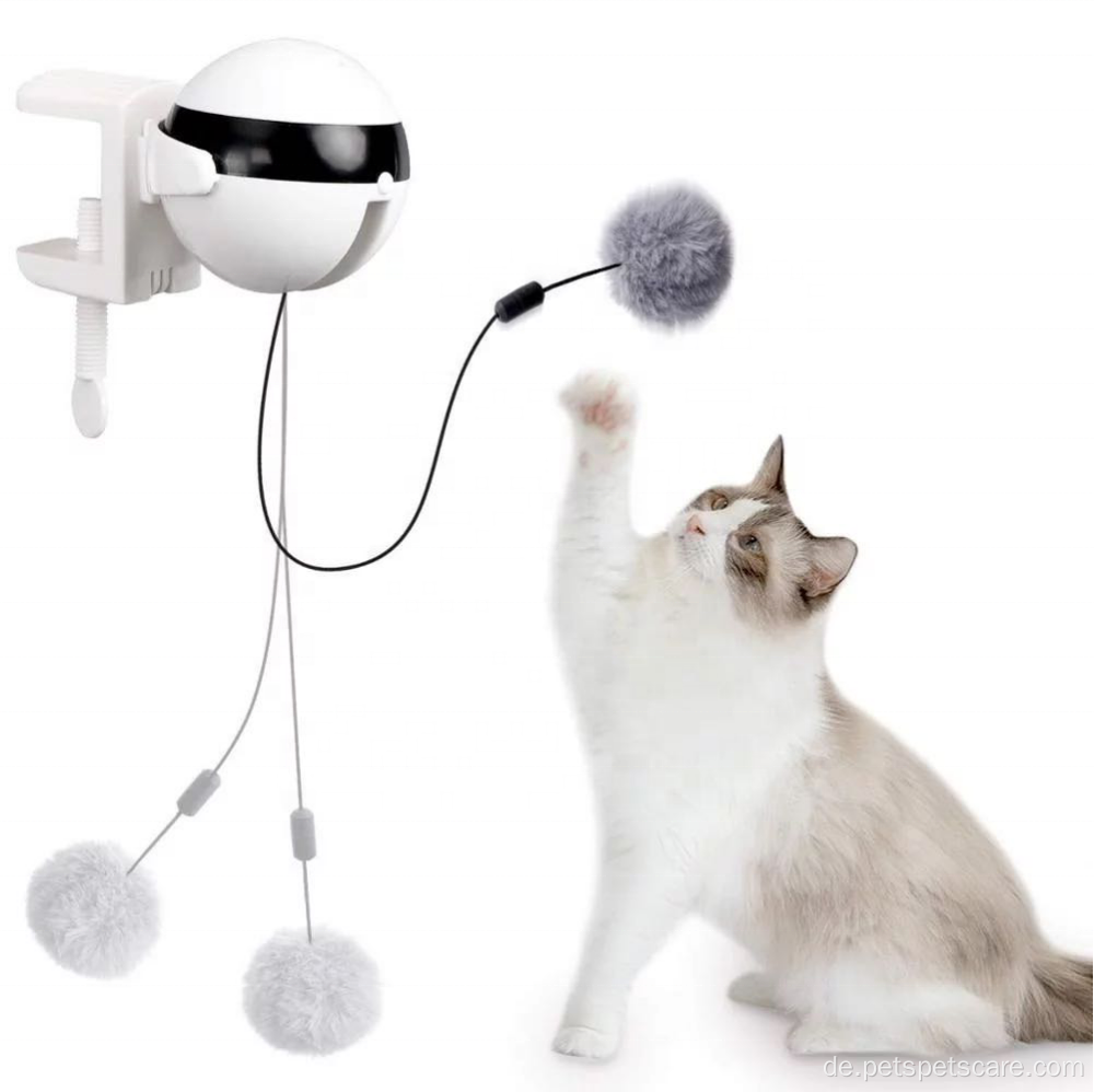 Haustier Electric Cat Toy Populäres Katzenspielzeug hochziehen