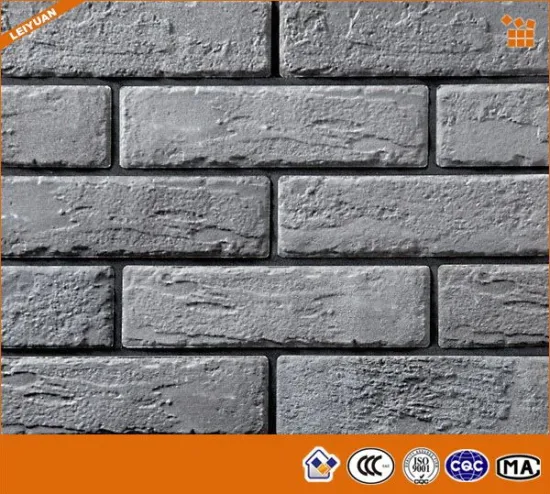 Rustic Surface Brick Wall Tile for Exterior Design
