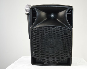 15" 2way active molded cabinet speaker