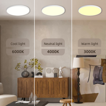 Ultra Thin Ceiling Lamp: Dimmable Remote Control LED Lights 24W-48W for Indoor Decoration