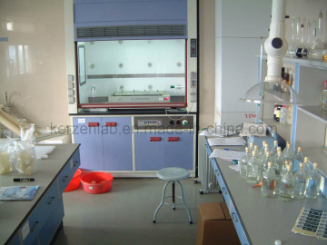 Guangzhou Factory Steel Laboratory Fume Hood