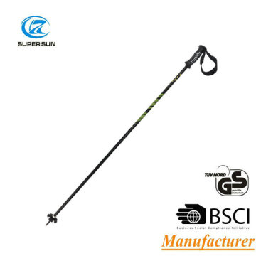 2015 Ski pole