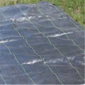 Weed Control Ground Cover uv treated Landscape Fabric