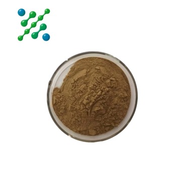 Andrographis Paniculata Powder Extract