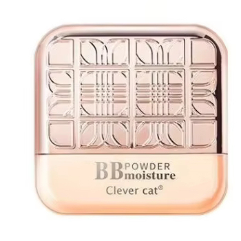 Oil-Control Moisture Foundation with Concealer