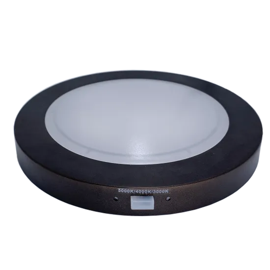 12W 7-inch 3CCT Changeable Surface-Mounted ETL-Listed Flush LED Disk Ceiling Light