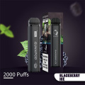 Latest Disposable E-Cigarette OEM Vape Pen Fast Shipping