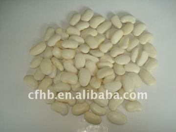 large white kidney beans