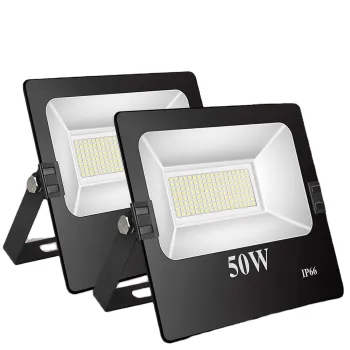 Aluminum and Glass IP66 50W High Lumen Garden LED Flood Light for Tunnel