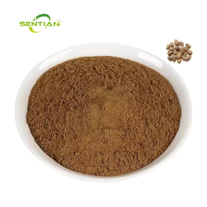 Plant Extract Fructus Amomi Amomum Villosum Extract