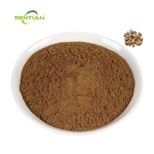 Plant Extract Fructus Amomi Amomum Villosum Extract