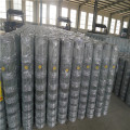 /msite/products/detail/productid/57027856/id/666379.html