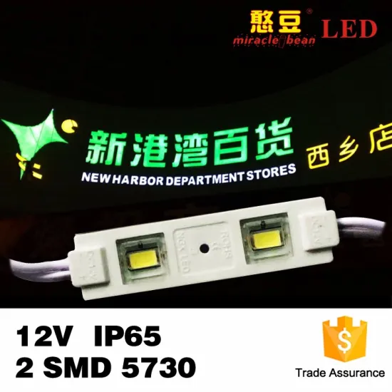 IP65 0.6W SMD5730 Epistar Waterproof DC12V LED SMD Injection Module