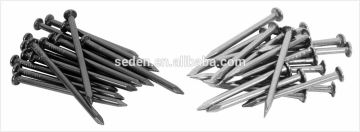 Galvanized /Black/Blue/GV /Bright Concrete Steel Nail