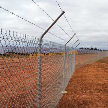 50 mm Taille de diamant Green PVC Coated Chainlink Fence