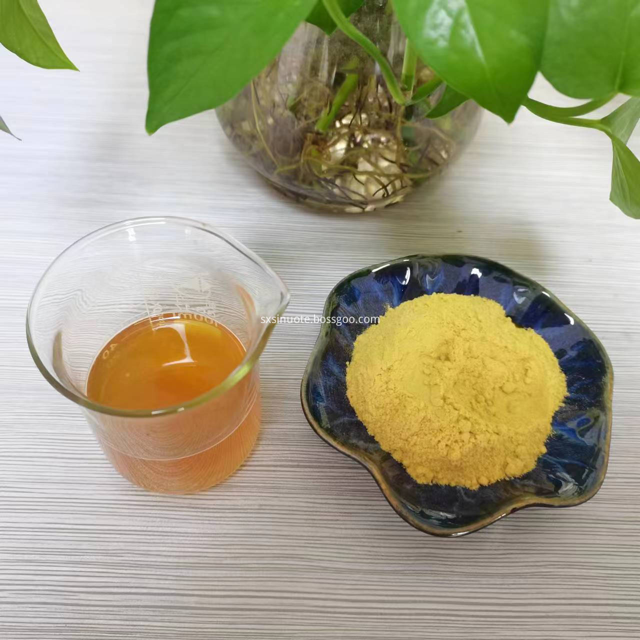 ผงทะเล Sea buckthorn powder