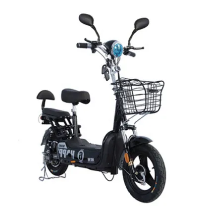 2-Seat 350W Electric Utility Vehicle: Scooter Bicycle for Uomo