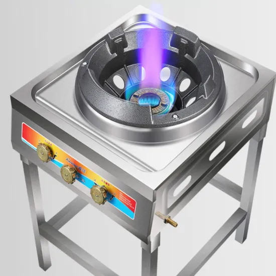 Stainless Steel Gas Stove Double Stove