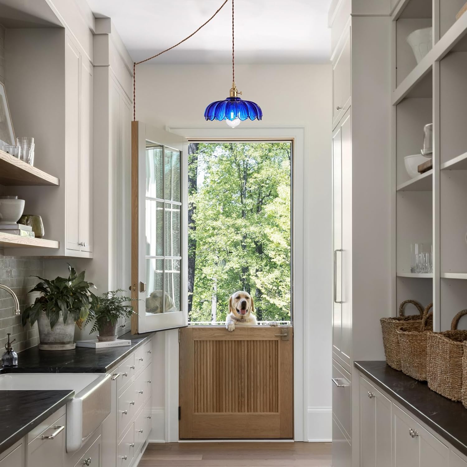 Plug in pendant lamp glass shade for dining room (19)