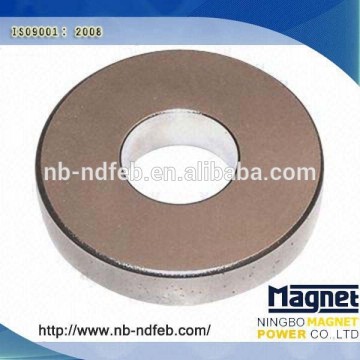 Magnesy głośnikowe Rare Earth Neodymum na sprzedaż