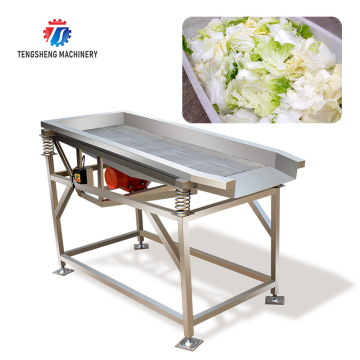 Automatic Stainless Steel Vegetable Vibration Draining Machine - TS-ZD18