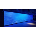 Tunnel d&#39;aquarium en acrylique personnalisé de luxe à une fois