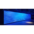 One Time Luxury Large Custom Acrylic Aquarium Tunnel