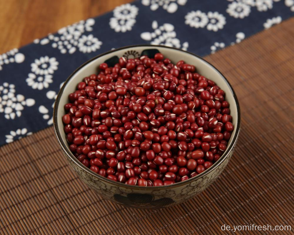 Adzuki Bean