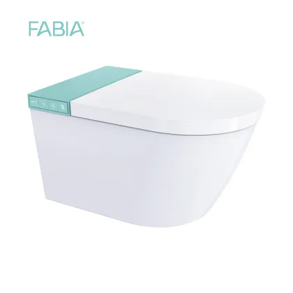 Smart Wall Mounted Toilet System