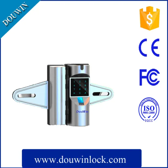 Security password and swipe card electronic lock for glass door