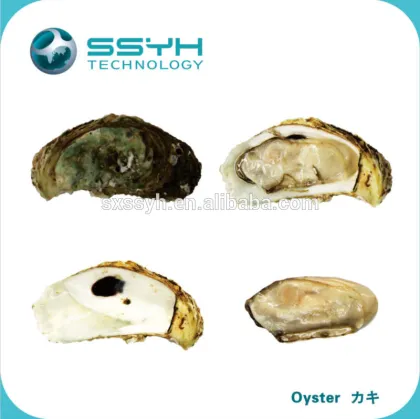 High Pressure Processing Non-thermal Shellfish Shucking Machine