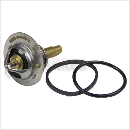 Hot Sale! Factory Wholesales High Quality Auto Cooling System Parts for Benz - Thermostats & Repair Spares