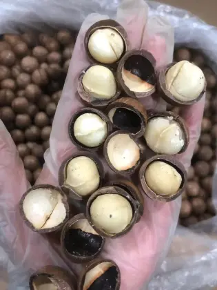 Natural Premium Macadamia Nut Kernels
