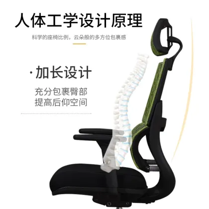 Ergonomic Office Chair with Waist Support for Computer and E-Sports