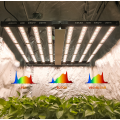 Wholesaler Price 1000W Led Grow Light Full Spectrum