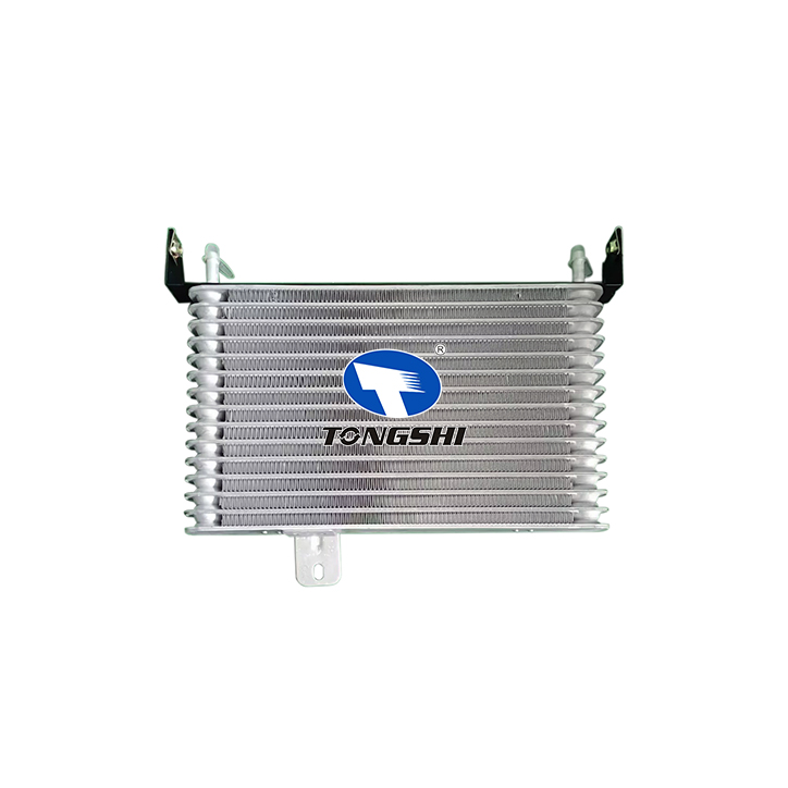 Auto Cooling System Oil Cooler for FORD E-150 E-250 5.4L