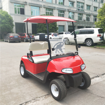 two seats 3000cc gas golf cart for sale