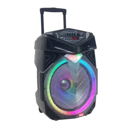 Speakers Audio System with FM Radio