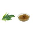 Food Grade Plant Extract eucalyptus extract