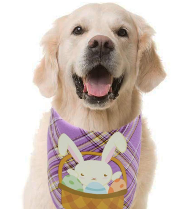 2 PCS Easter Dog Bandana