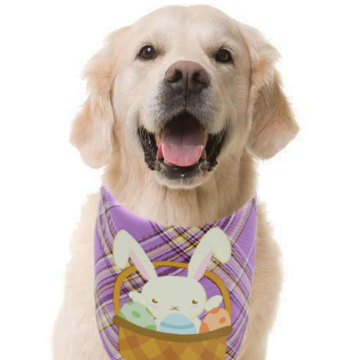 2 PCS Easter Dog Bandana