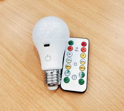 Rechargeable LED light bulbs