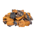 direct chaga mushroom extract powder