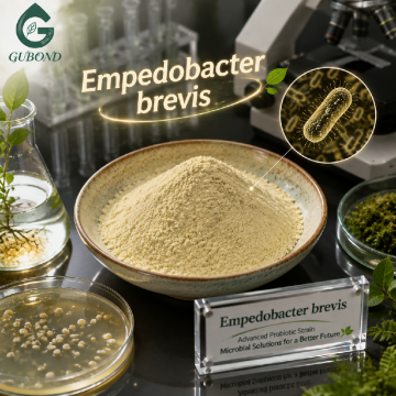 Empedobacter Brevis تجميد الثقافة الميكروبية المجففة