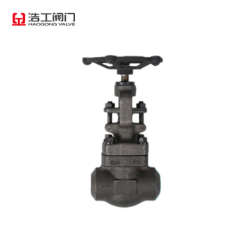 Foreged Steel Butt Welding Globe Valve 800lb