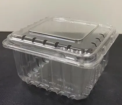 Blister Packaging Box for Fresh Fruit Packaging
