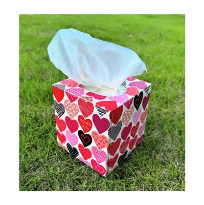 Upright Cube Boxed Format Cube Box Facial Tissue