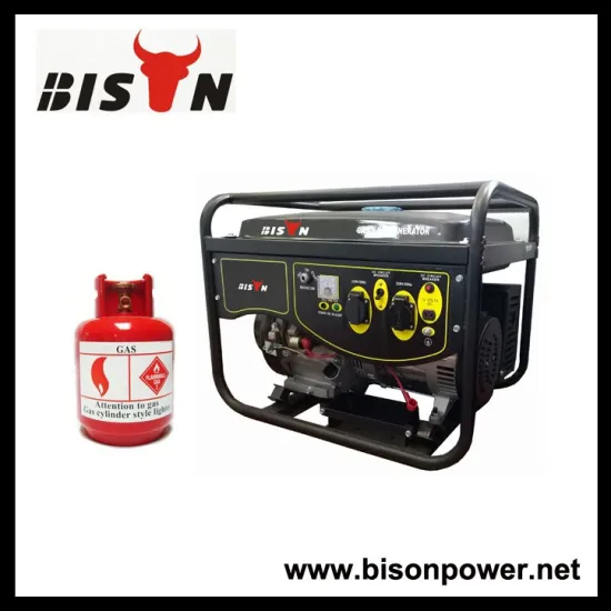 BISON(CHINA) Air-cooled 4-Stroke OHV Gas Engine Power Generator