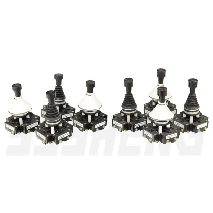 SSSHENG Electric Switches Supplier: PK12-21-821D Cross Limit Switches & Push Button Post Switches